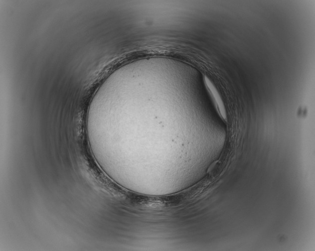 X0000113130600200910021418