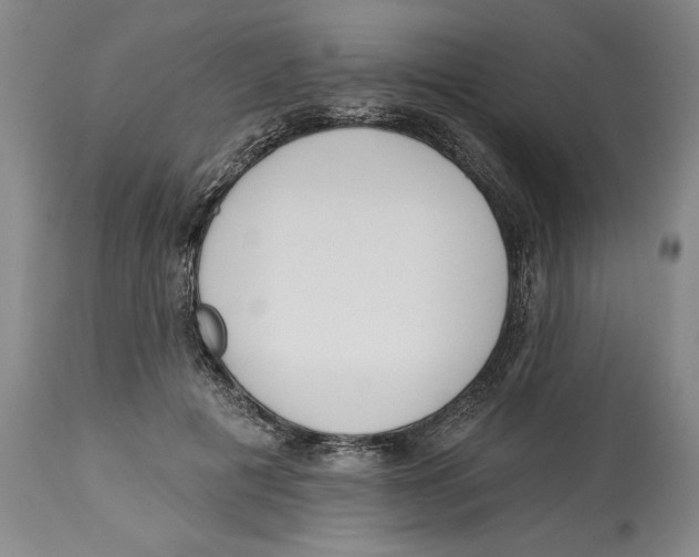 X0000113130601200910021418