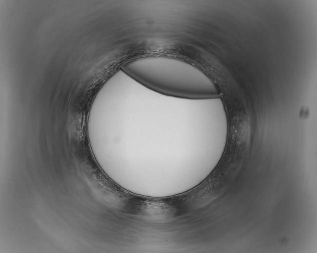 X0000113130605200910021417