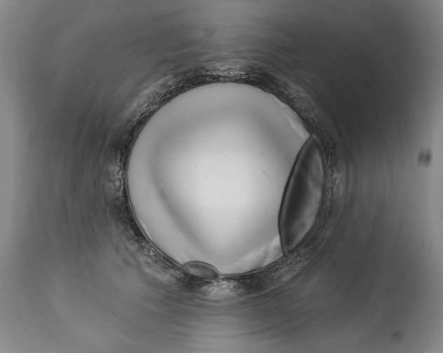 X0000113130609200910021417