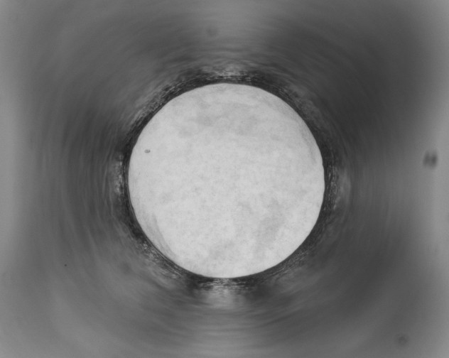 X0000113130612200910021417