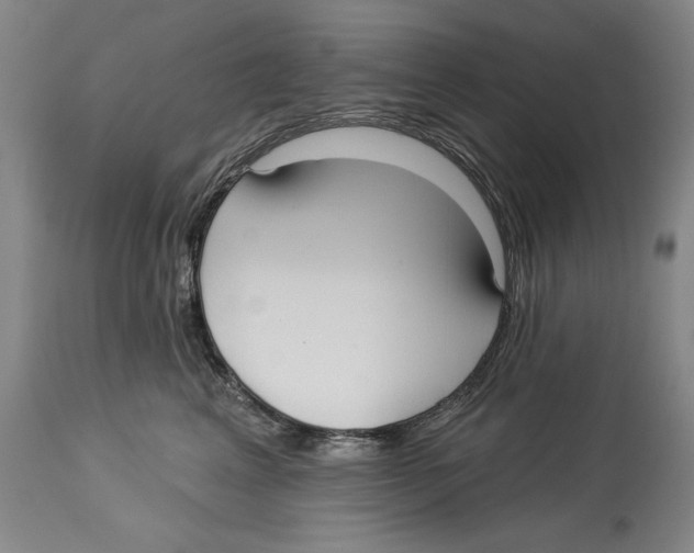 X0000113130617200910021417