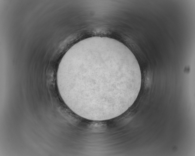 X0000113130619200910021417