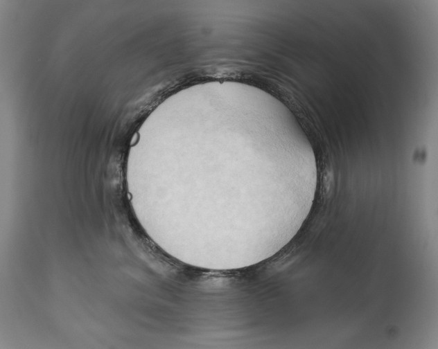 X0000113130620200910021417