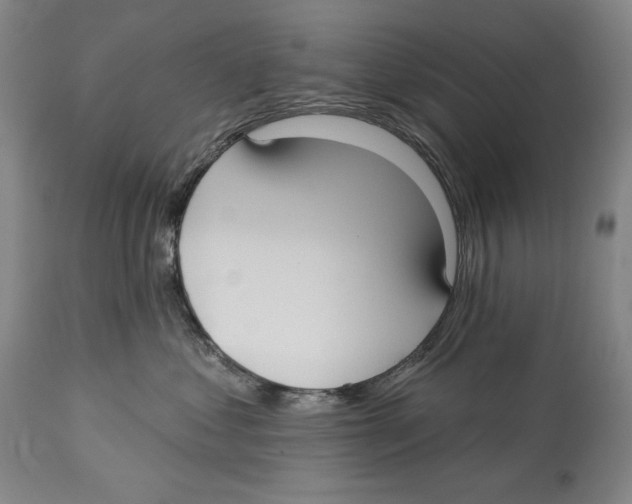 X0000113130621200910021417