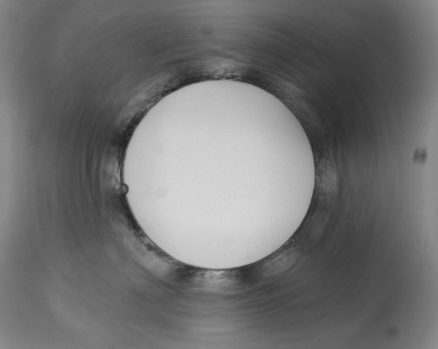 X0000113130622200910021417