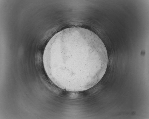 X0000113130623200910021417