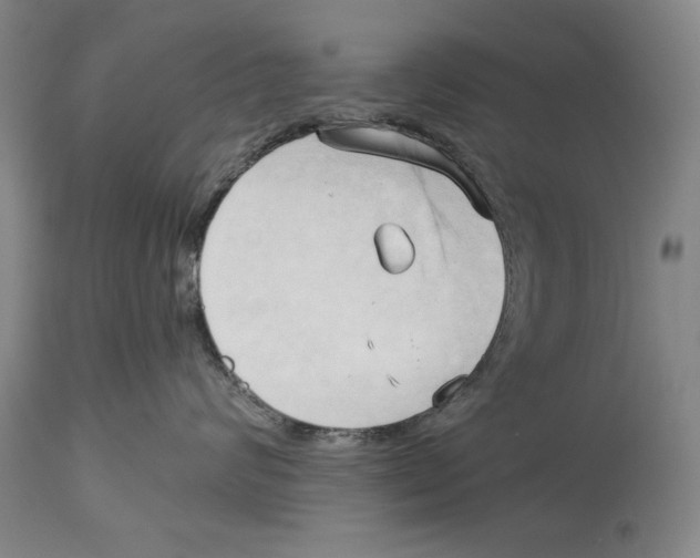 X0000113130624200910021417