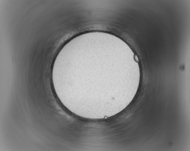 X0000113130625200910021416