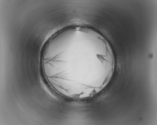 X0000113130630200910021416
