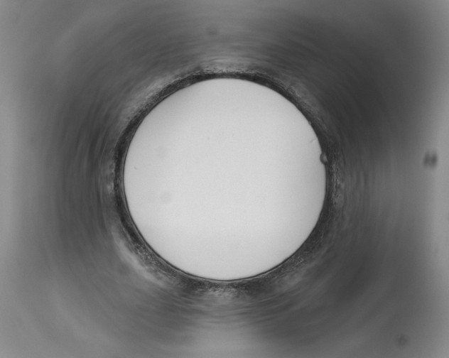 X0000113130631200910021416