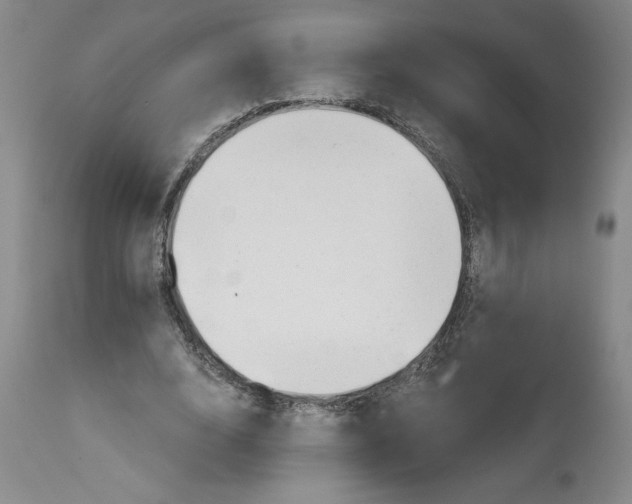 X0000113130632200910021416