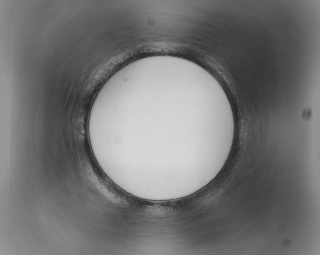 X0000113130633200910021416