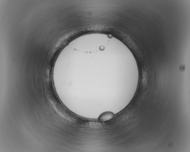 X0000113130636200910021417