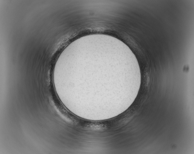 X0000113130638200910021417