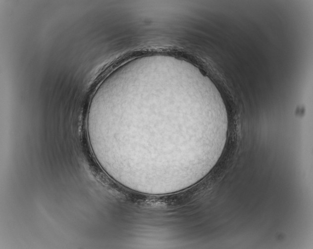 X0000113130640200910021417