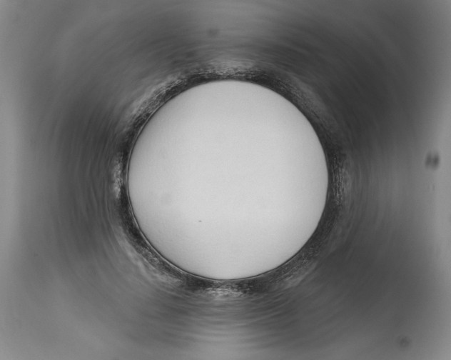 X0000113130644200910021417