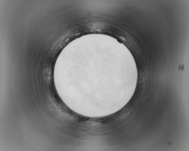 X0000113130648200910021417