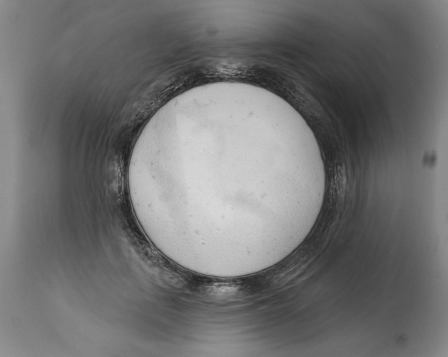 X0000113130651200910021417