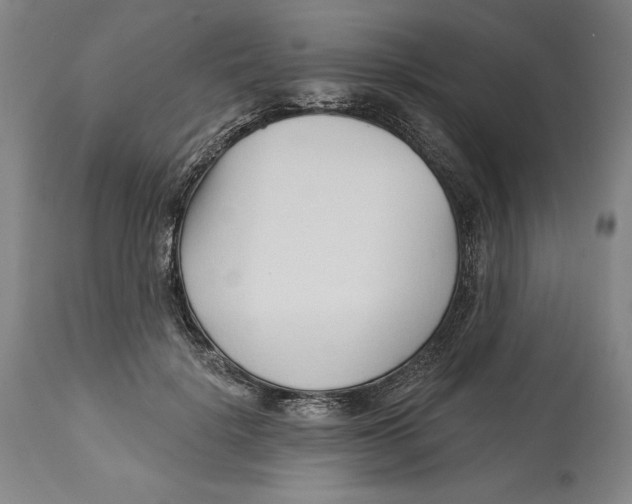 X0000113130652200910021417