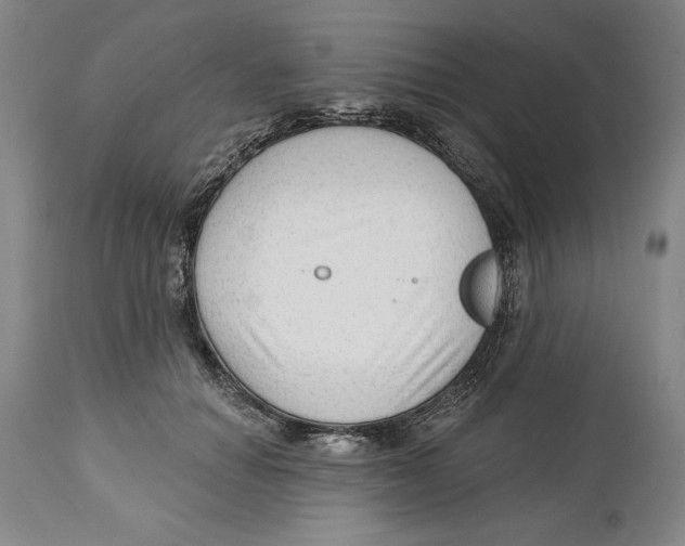 X0000113130654200910021417