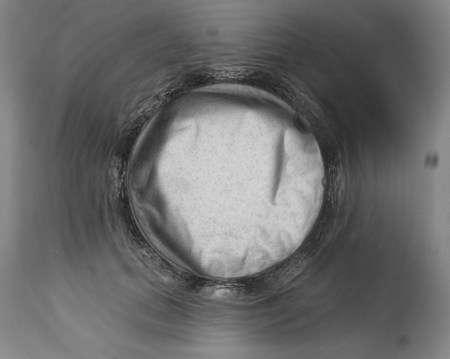 X0000113130655200910021417