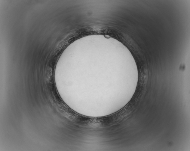 X0000113130656200910021417