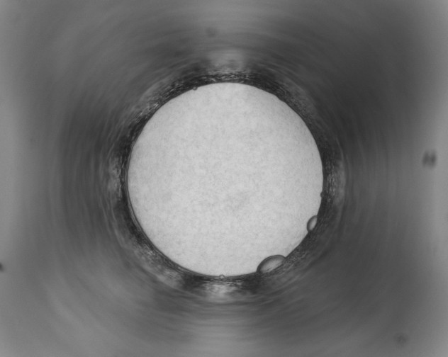 X0000113130662200910021417