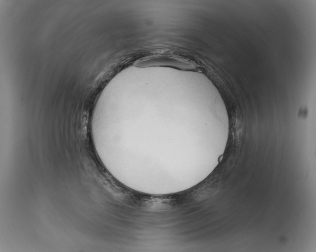 X0000113130664200910021417