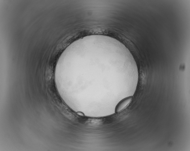 X0000113130665200910021417