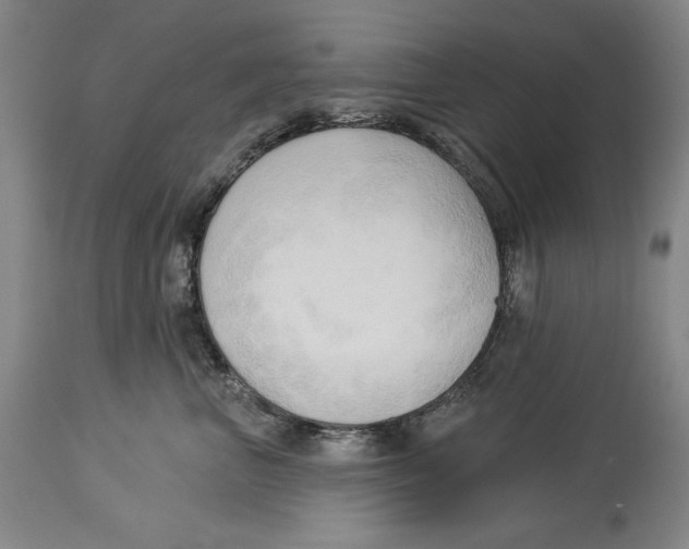 X0000113130667200910021417