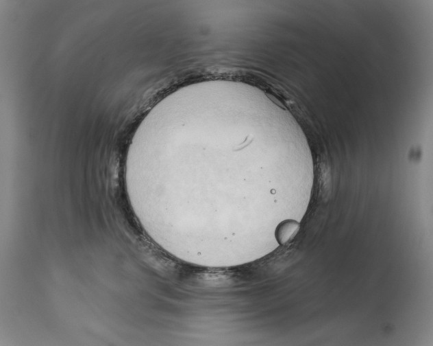 X0000113130668200910021417