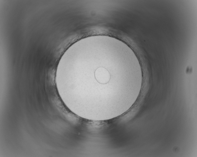 X0000113130672200910021417