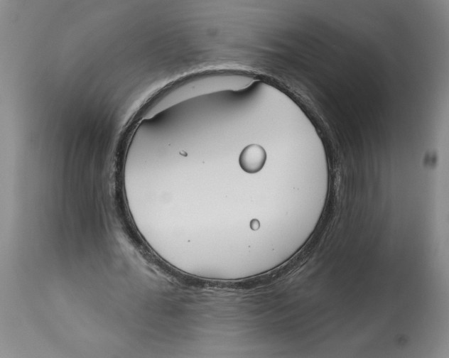 X0000113130676200910021416