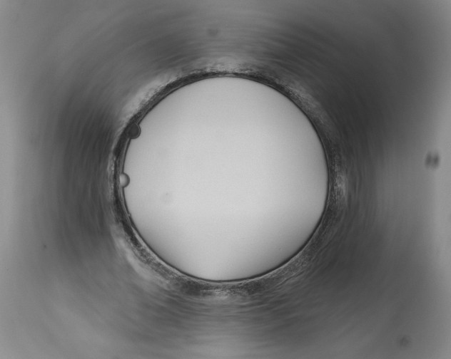 X0000113130678200910021416