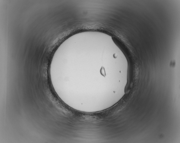 X0000113130681200910021416