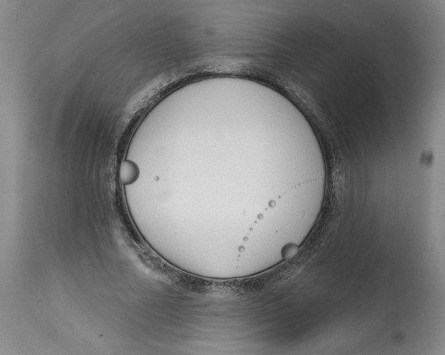 X0000113130682200910021416