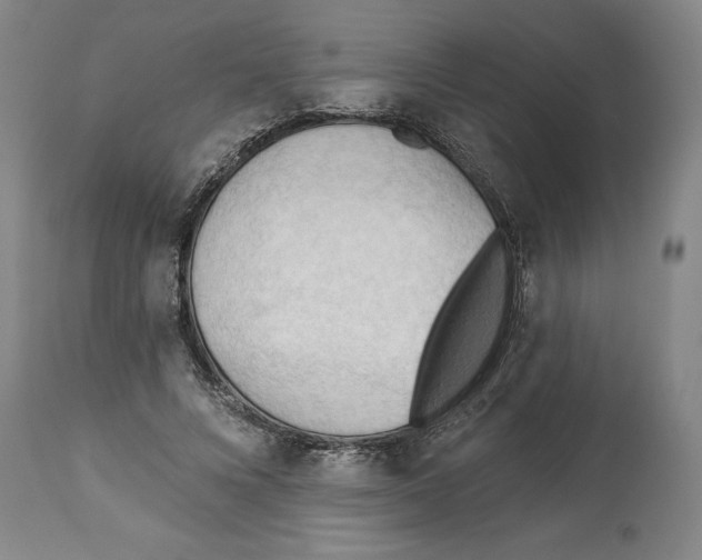 X0000113130688200910021416