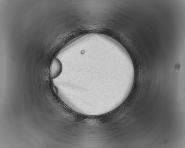 X0000113130689200910021416