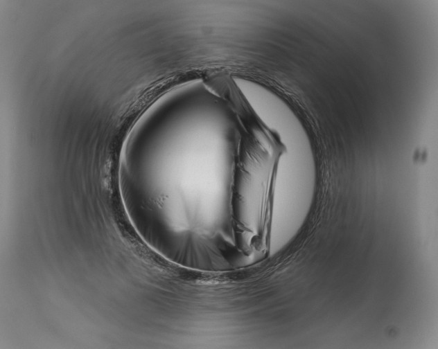 X0000113130693200910021416