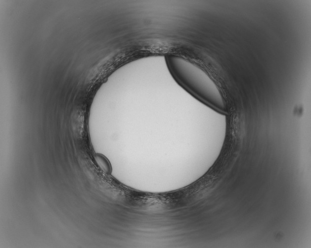 X0000113130697200910021416