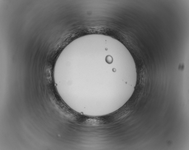 X0000113130699200910021416