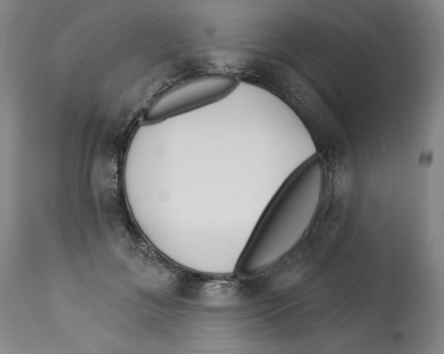 X0000113130700200910021416