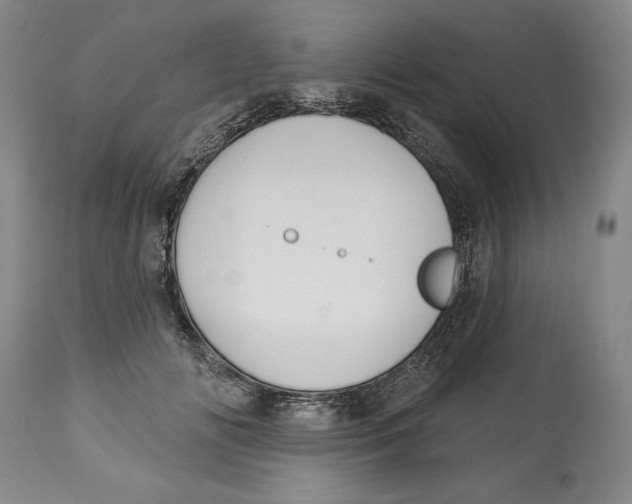 X0000113130702200910021416