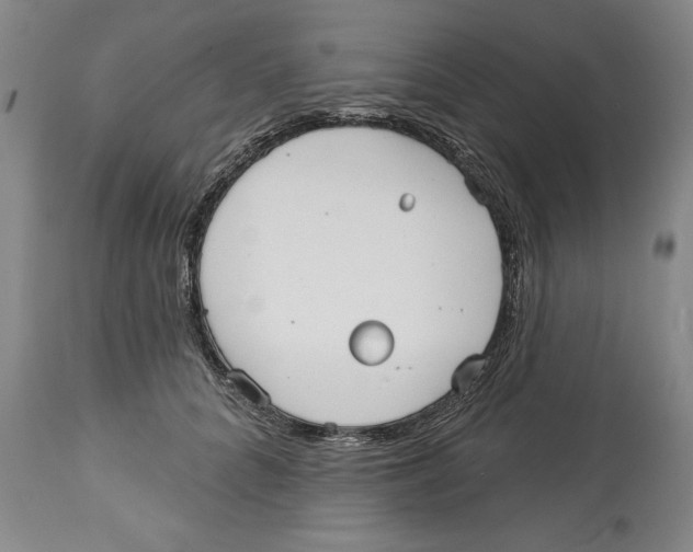 X0000113130704200910021416