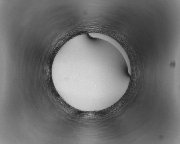 X0000113130705200910021416