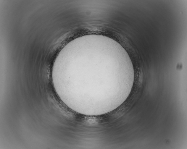 X0000113130710200910021416