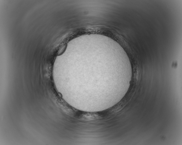 X0000113130712200910021416