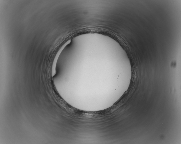 X0000113130713200910021416