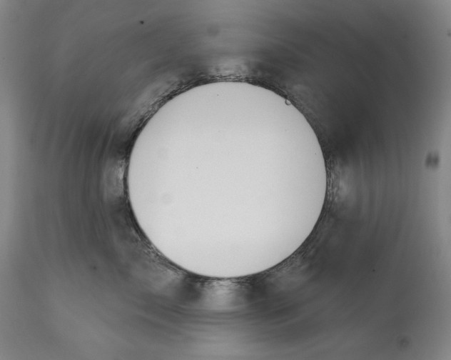 X0000113130717200910021416